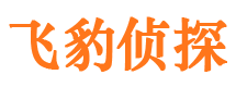 巫溪市侦探调查公司